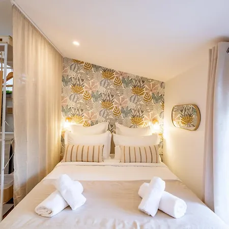 Apartment L'edelweiss - Cocon Confort, Centre-ville Mazamet